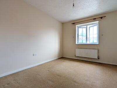 Picture 12